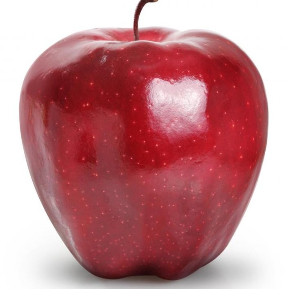 Meet your Posher, Jenny